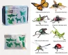 4D Assembly Animal Model Simulation Toy Insect Handmade DIY Educational Toy