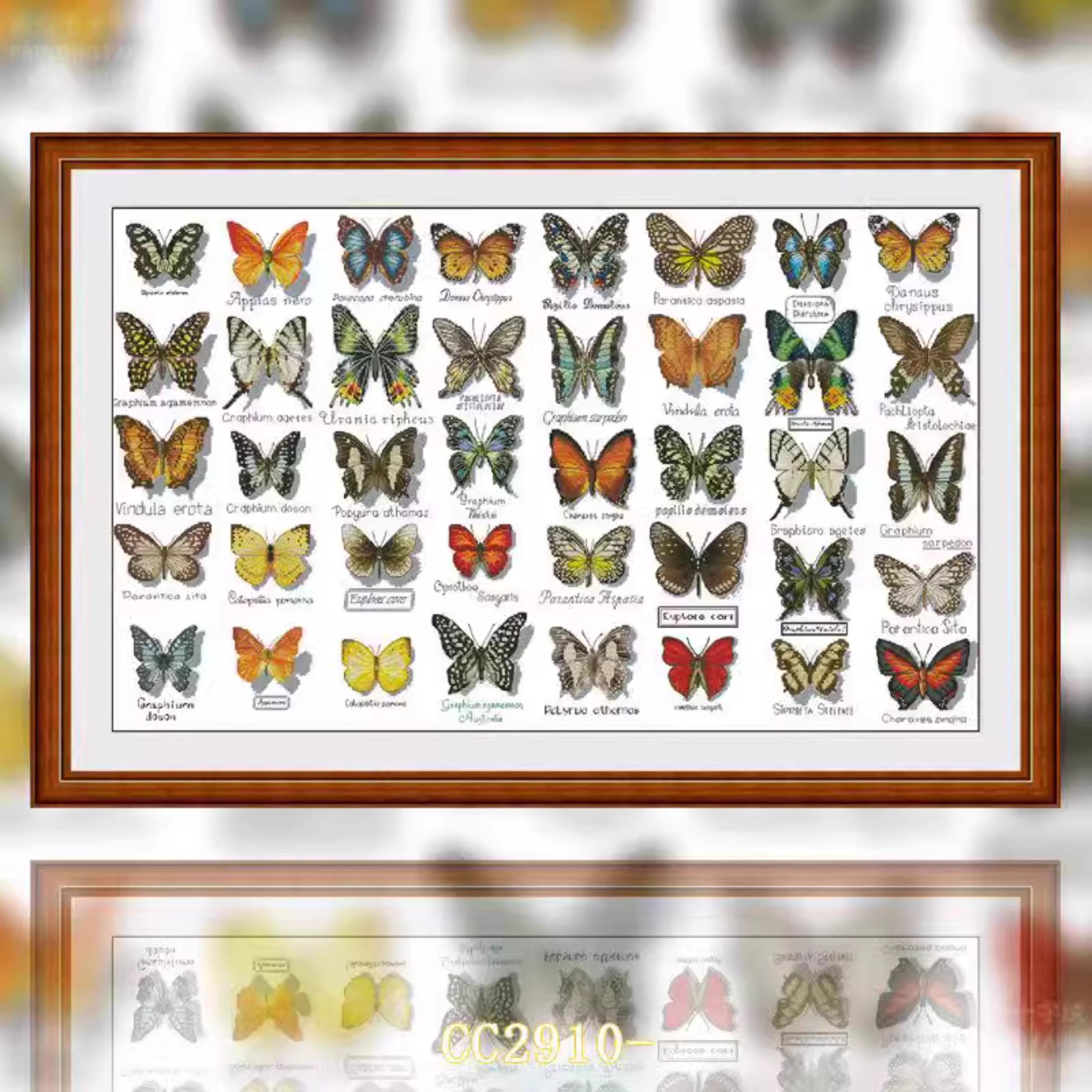 【CC2910- Butterfly specimen】 Painting Fairy Cross Stitch
