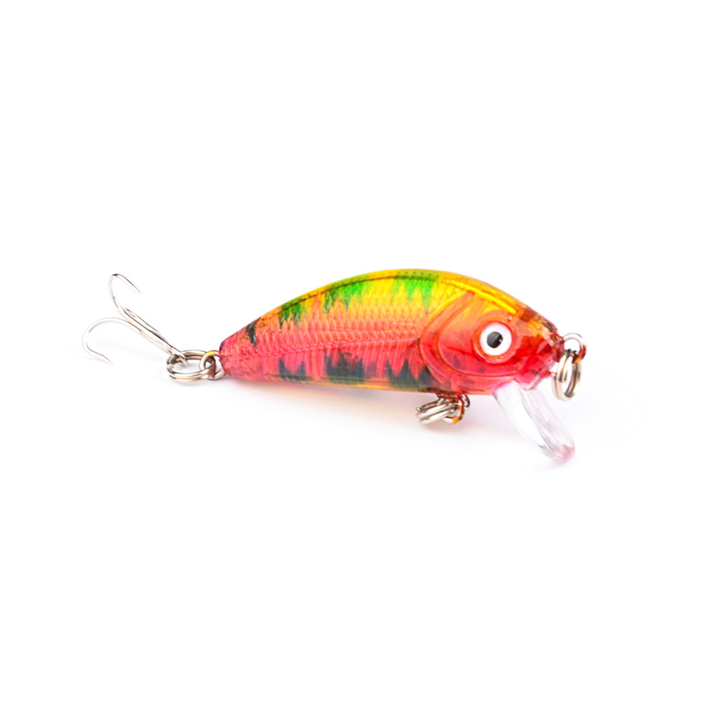 

Minnow Fishing Lures 5cm 3.6g Hard Bait with Hook Jig 3D Eyes Crankbait, 501 Original