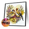Diamond Painting -DIY Round Drill Love Sparrow（40x40cm）