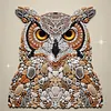 Stone Art Special Shaped 5D DIY Partial Drill Diamond Painting Kits for Adults Beginners Home Decor Diamonds Dots Gem Art 11.81 X11.81inch