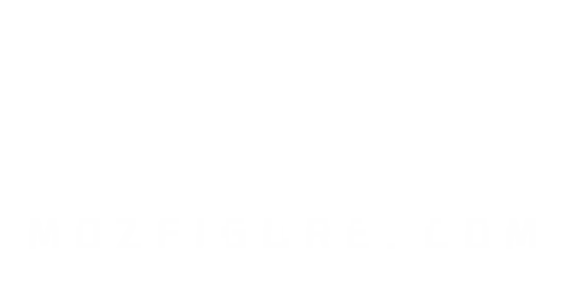 The picture mozfigure.com shows when its homepage is shared