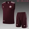 Joyfball 2025/2026 Bayern Munich pre-match training Jersey+Shorts  1:1 Thai Quality