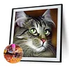 Cat - Full Round Drill Diamond Painting