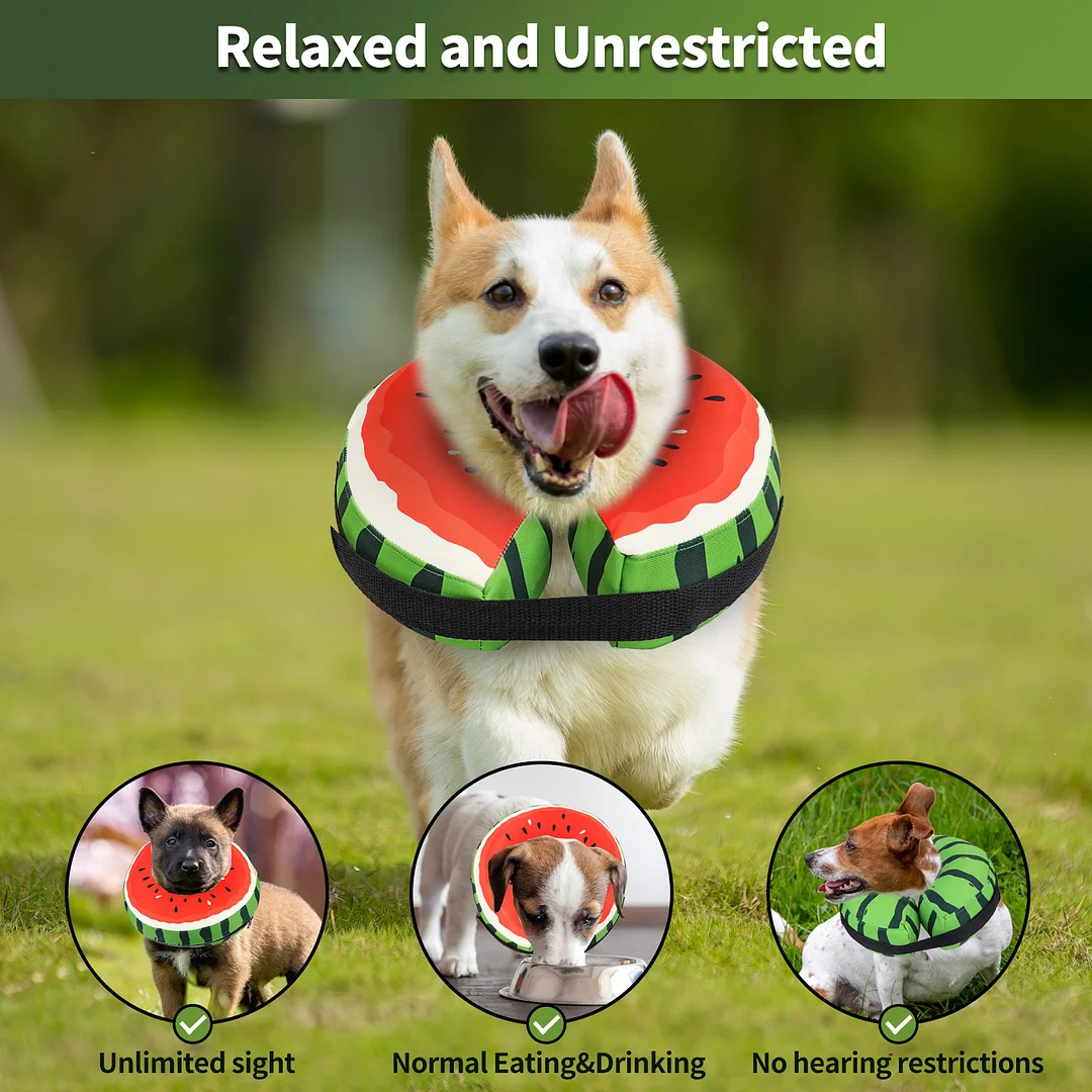 Protective Inflatable Collar for Dogs and Cats - Soft Pet Recovery Collar Doesn't Obstruct View, XL, Watermelon Look