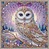 (Multi-Style)Cat Fish Owl-Partial Special Shaped Diamond Painting 30*30CM