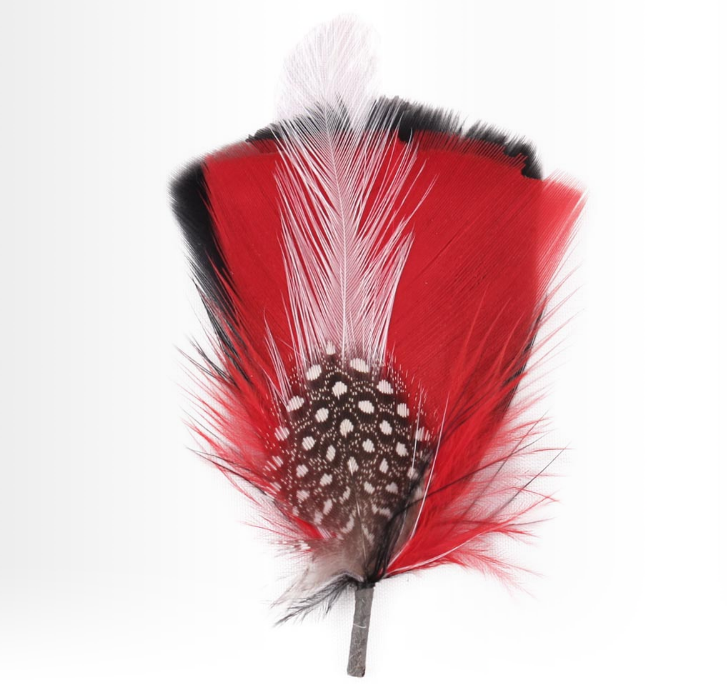 Hat Feather one D