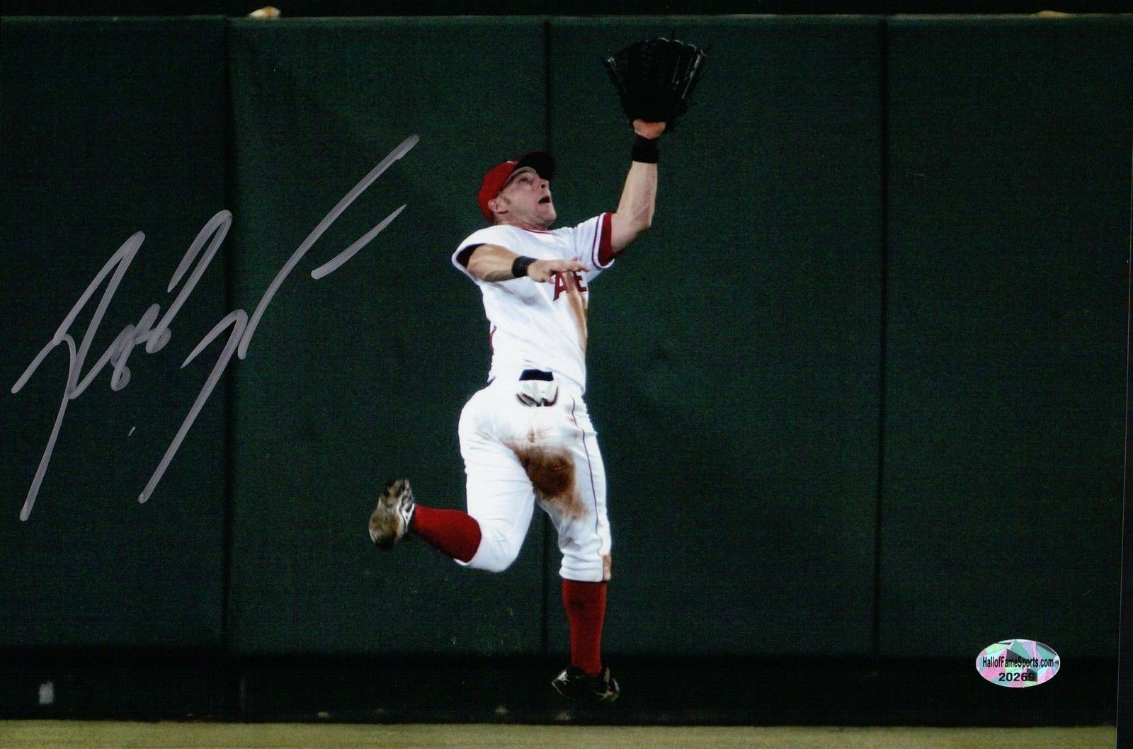 Reggie Willits Signed 8X10 Photo Poster painting Autograph Anaheim Angels Silver Catch Auto COA