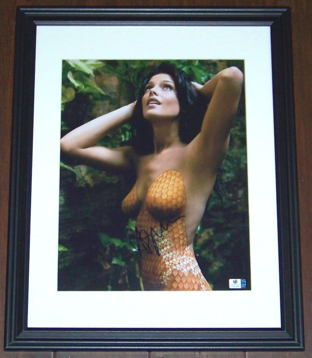 HOT NEW ITEM! Ashley Greene TWILIGHT Signed Autographed 11x14 Photo Poster painting GA GAI COA!