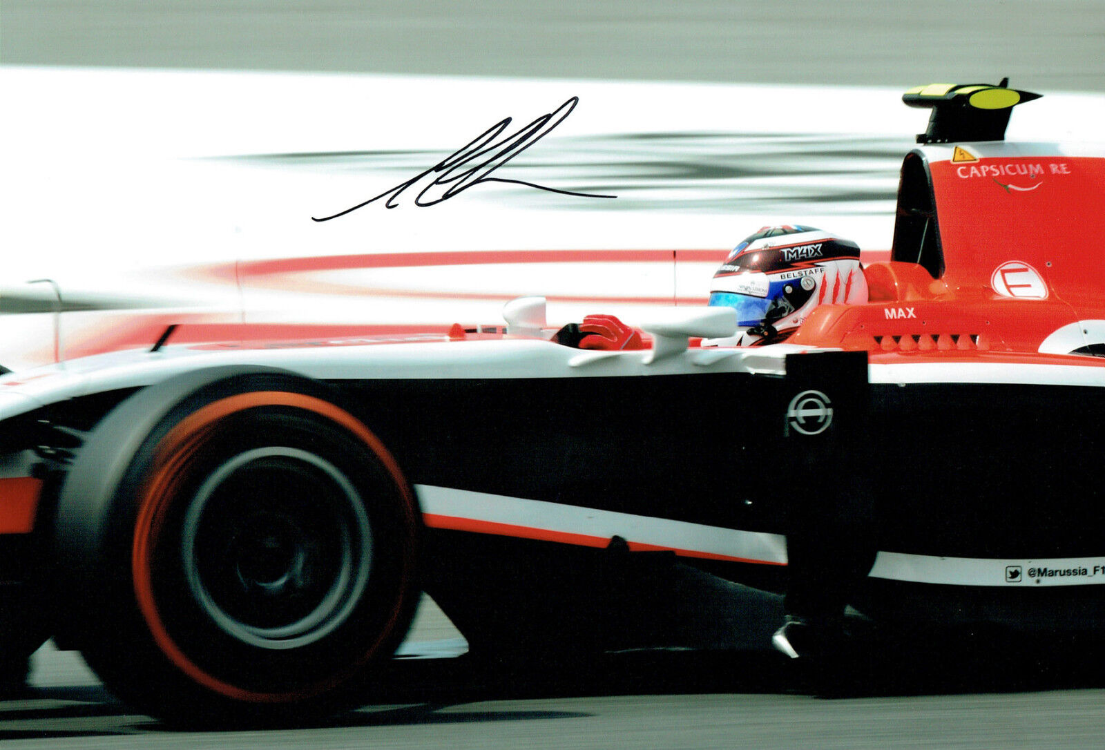 Max CHILTON SIGNED Marussia F1 Driver Autograph 12x8 RARE Photo Poster painting AFTAL COA