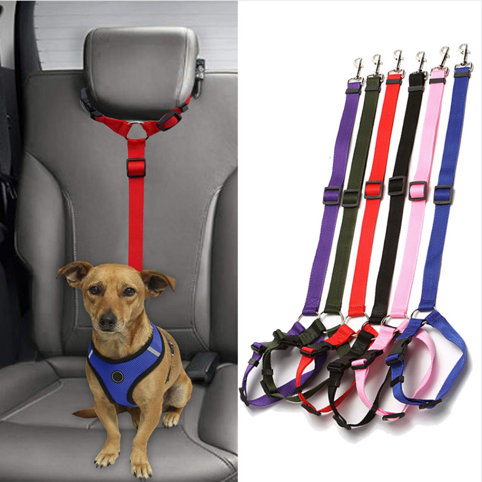 Dog Car Safety Leash