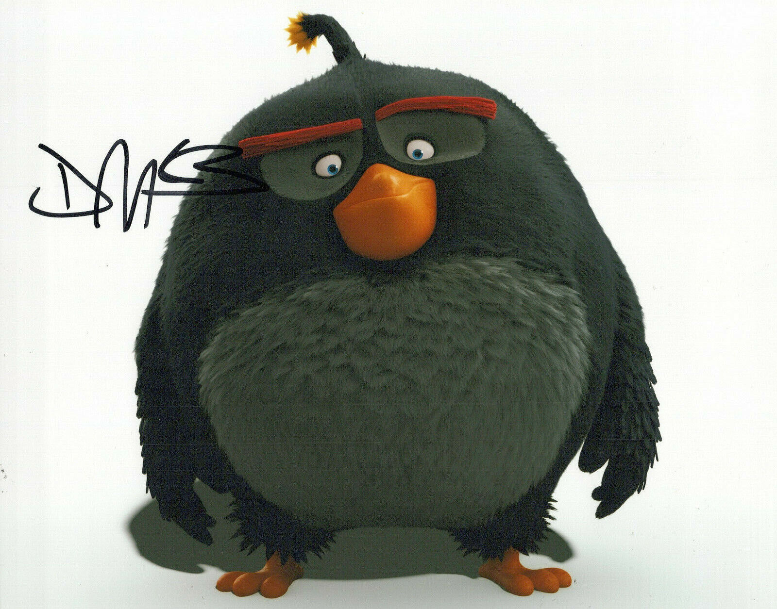 Danny McBride The Angry Birds Movie autographed Photo Poster painting signed 8X10 #3 Bomb