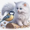 Pussycat And Robin-11CT Stamped Cross Stitch 40*40cm/15.75*15.75in tapestrymarket