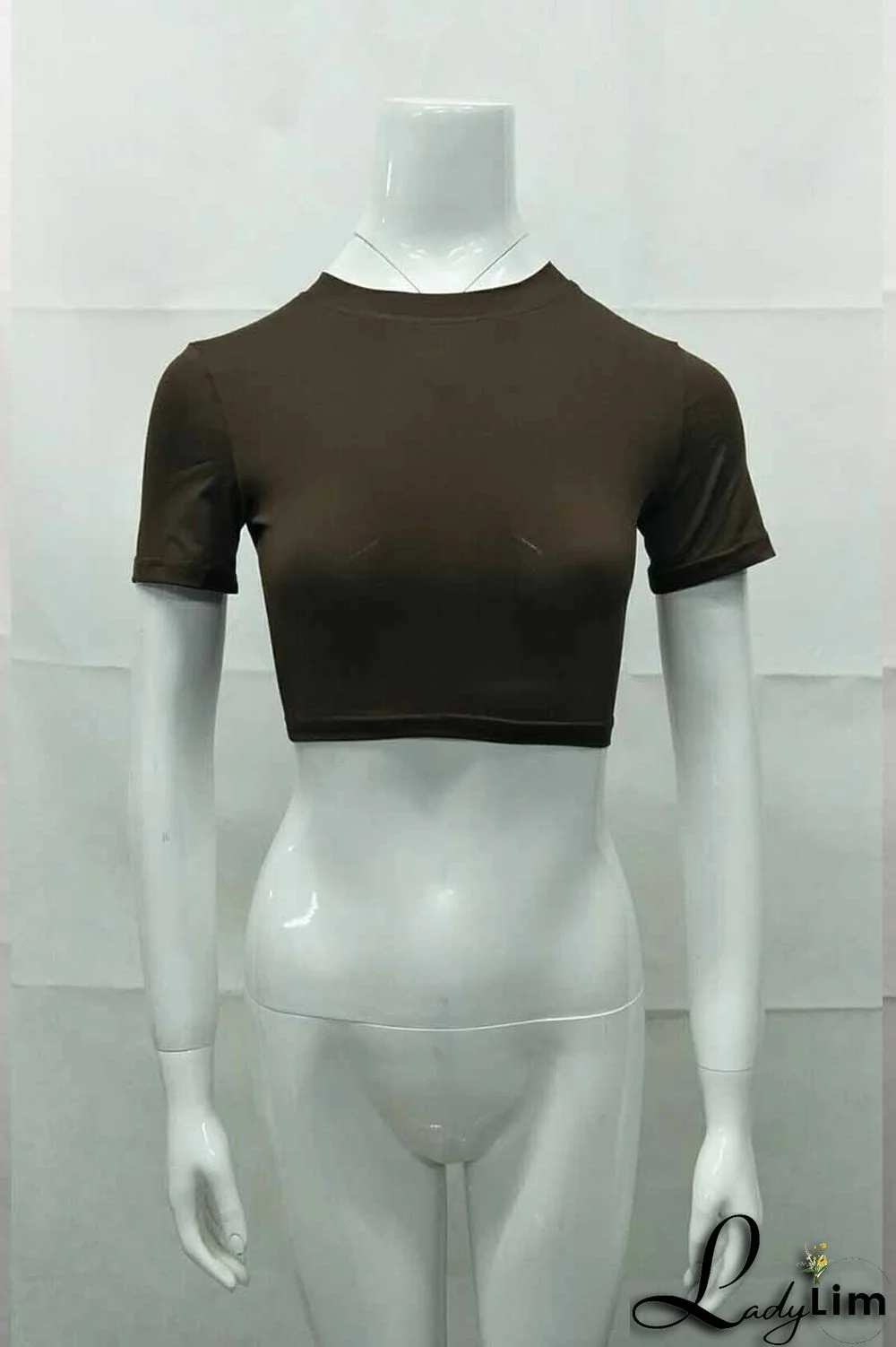 Burgundy Fashion Casual Solid Basic O Neck T-Shirts