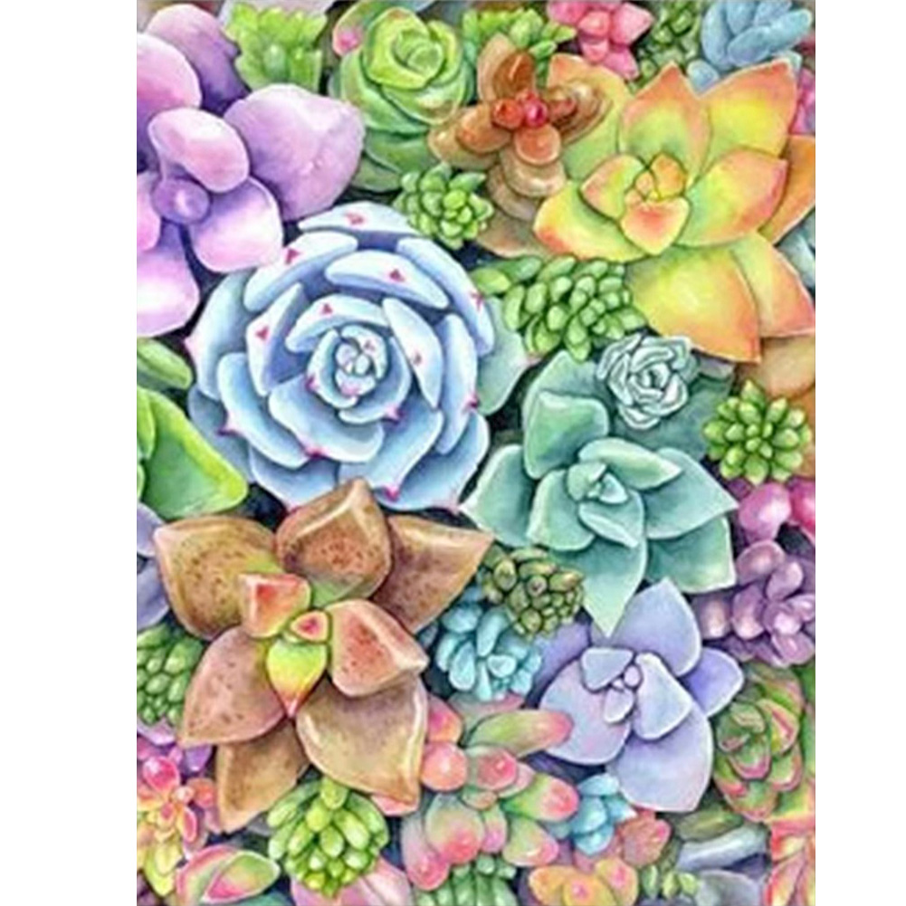 

40*50CM - Round Drill Diamond Painting - Succulents, 501 Original