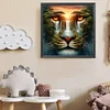 Tiger - Rundbohrer Diamant Malerei - 40 * 40cm
