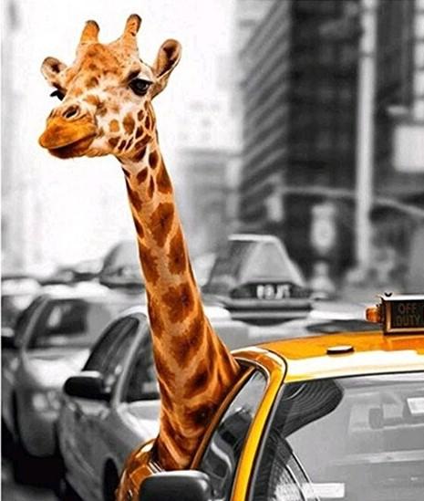 

Giraffe in Taxi – Paint By Numbers - 40*50CM, 501 Original