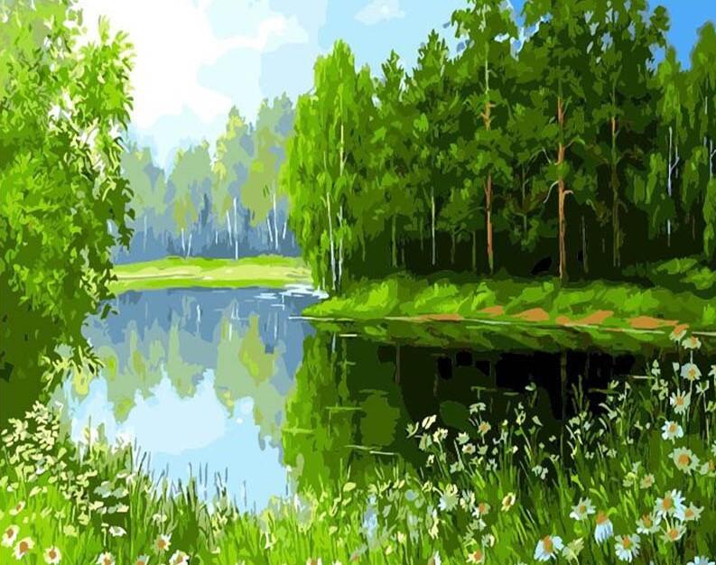 

Green Forest – Paint By Numbers - 40*50CM, 501 Original