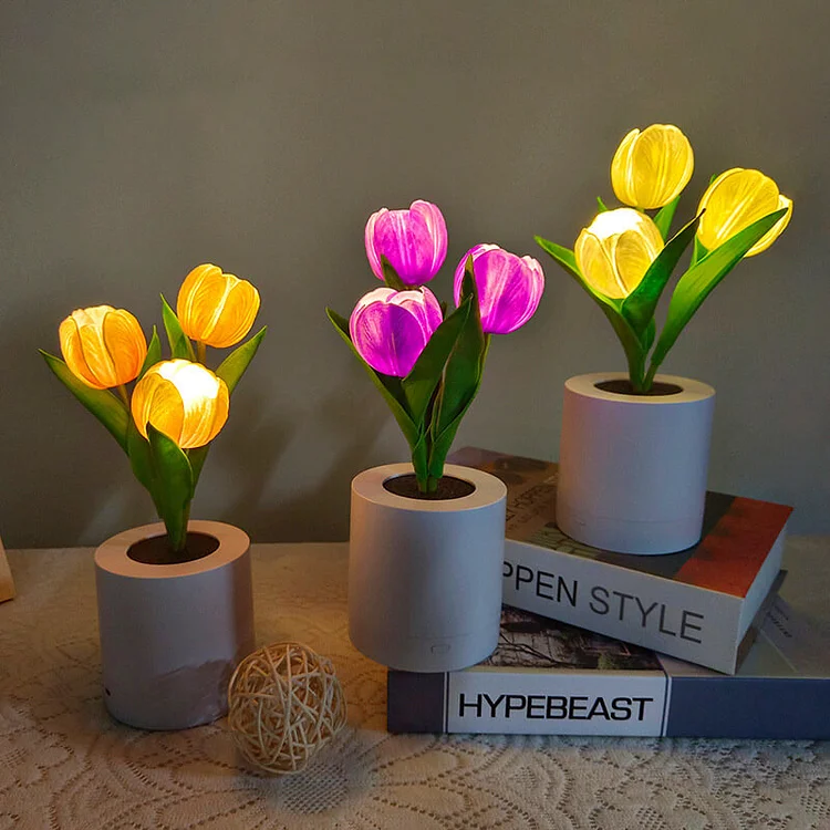 LED Rechargeable Tulip Night Light