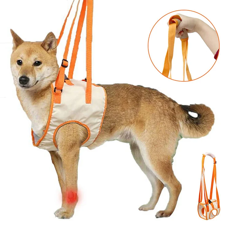Dog Support Lift Harness for ACL Rehab & Arthritis
