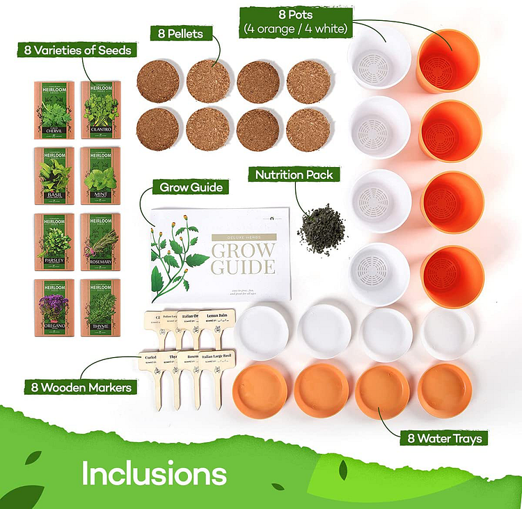 Variety Herb Seed Garden Grow Kit Indoor and Outdoor Herb Seed & Tools Starter Kit Sets