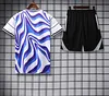 2025/2026 Real Madrid Pre-Match Training Blue White Shirt+Shorts 1:1 Thai Quality