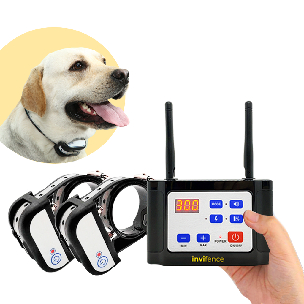 Invisible Dog Fence – Wireless Dog Fence With Collar – Waterproof Designed Wireless Dog Fence – Pet Training Device