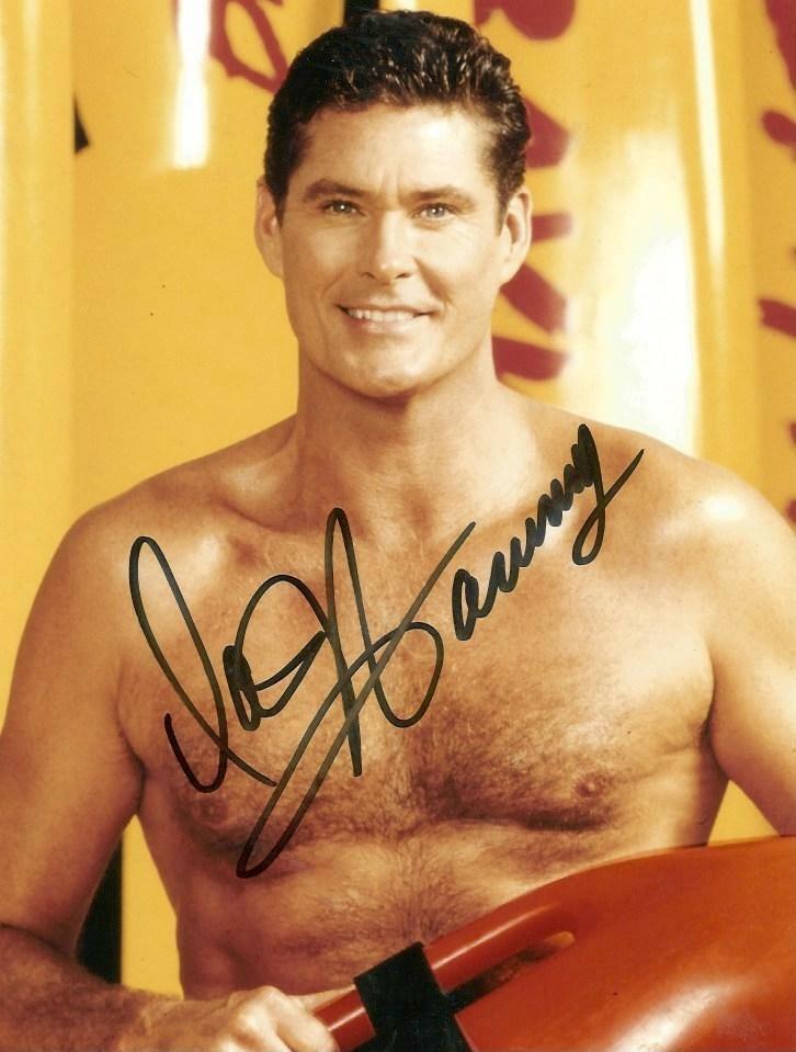 David Hasselhoff ACTOR and SINGER autograph, In-Person signed Photo Poster painting