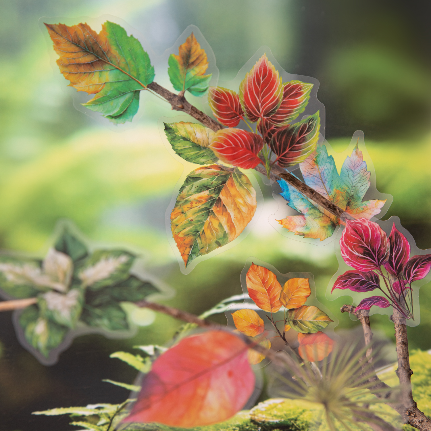 PET 스티커 - 나뭇잎의 바람 신호 시리즈 빈티지 식물 잎