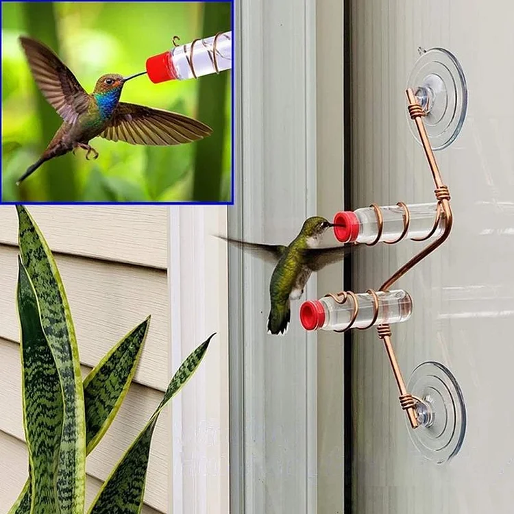 Window Hummingbird Feeder | 168DEAL