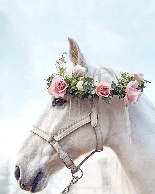 

Horse Wearing Flowers Crown – Paint By Numbers - 40*50CM, 501 Original