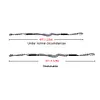 Marine Mooring Rope Boat Bungee Dock Line Anchor Rope Cord Accessory