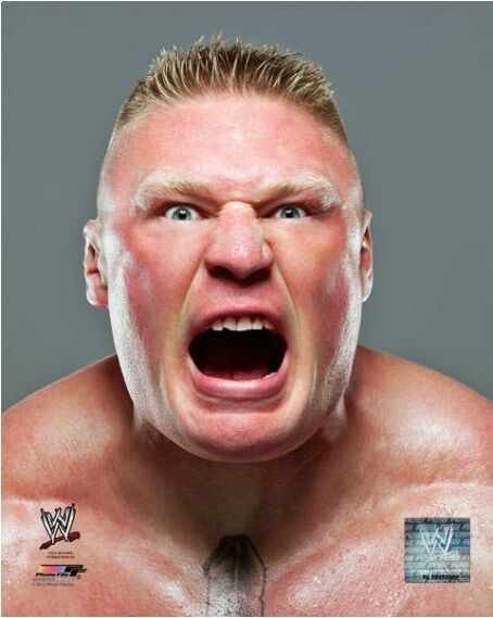 WWE BROCK LESNAR OFFICIAL LICENSED 8X10 WRESTLING Photo Poster paintingFILE Photo Poster painting 6