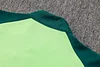 Joyfball 2024/2025 Palmeiras Long Zipped Jacket Green Football Shirt 1:1 Thai Quality