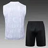 Joyfball 2025/2026 Chelsea Vest training White Jersey 1:1 Thai Quality