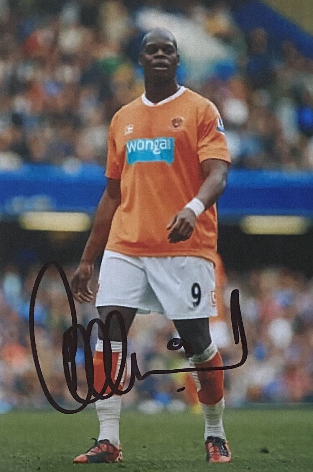 Marlon Harewood Genuine Hand Signed Blackpool 6X4 Photo Poster painting