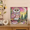 DIY Partial Special Shaped Drill Diamond Painting-Owl