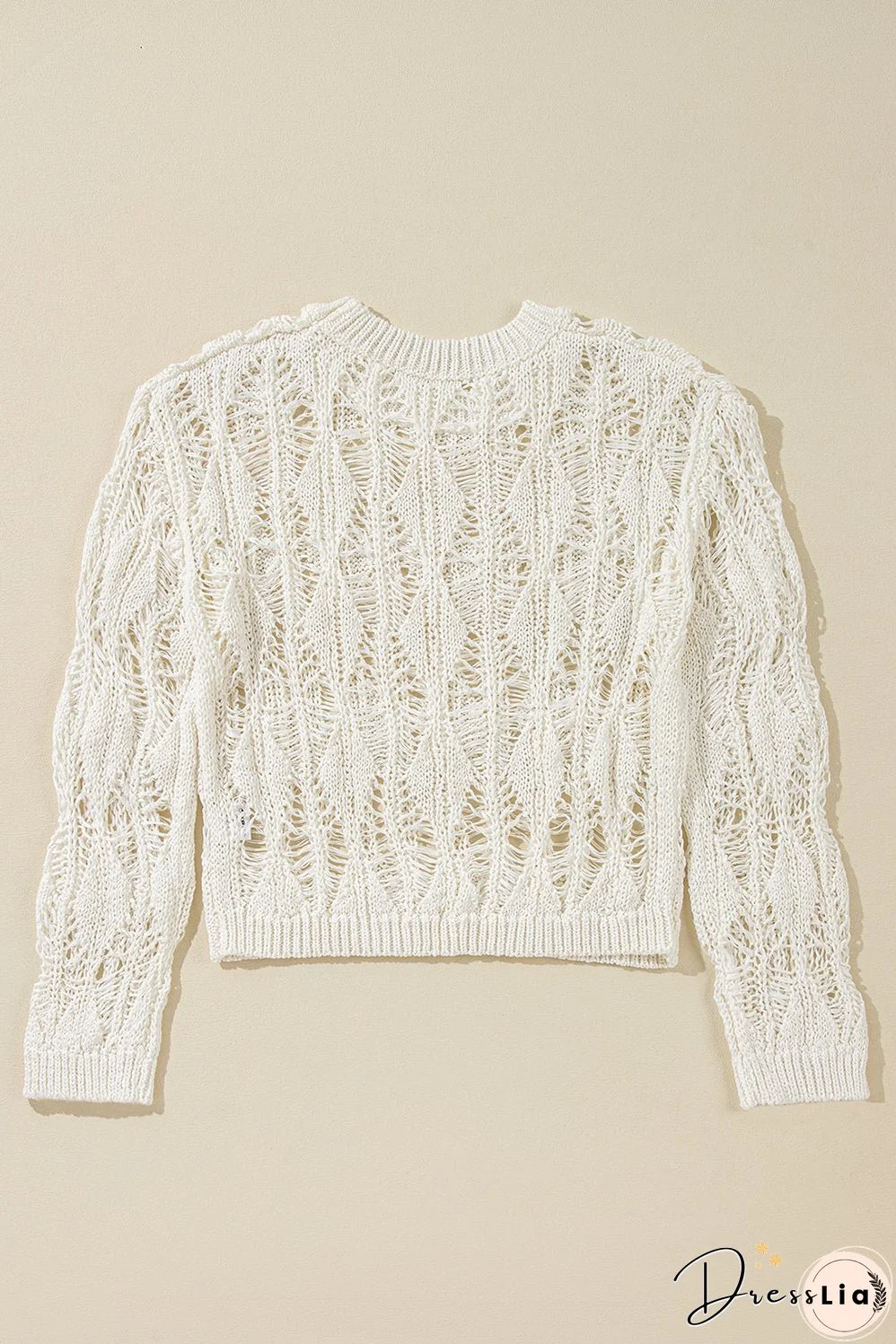 Cut Out Crochet Crew Neck Loose Fit Sweater