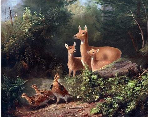 

Deer in Jungle – Paint By Numbers - 40*50CM, 501 Original