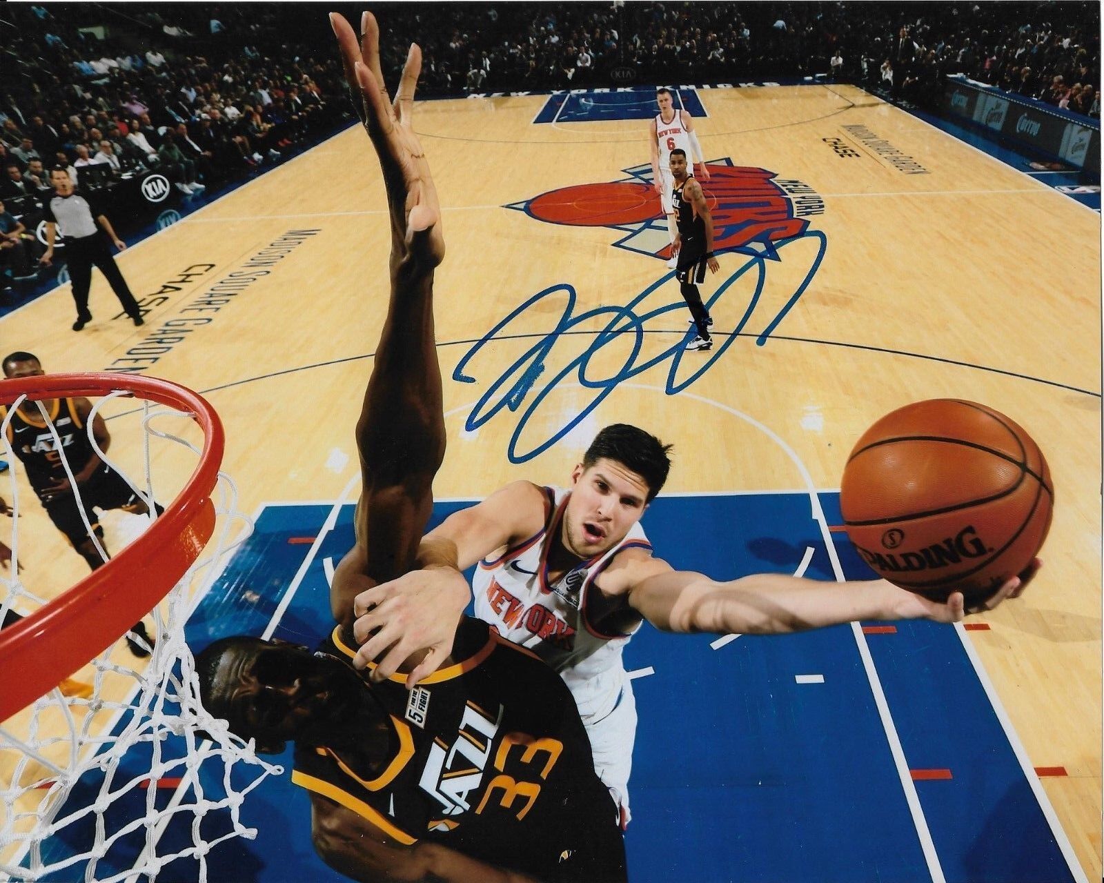 DOUG MCDERMOTT signed autographed NEW YORK KNICKS 8x10 Photo Poster painting NBA Basketball wCOA