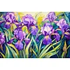 (Big Size)Iris - 11CT Stamped Cross Stitch - 60*40cm - Flower