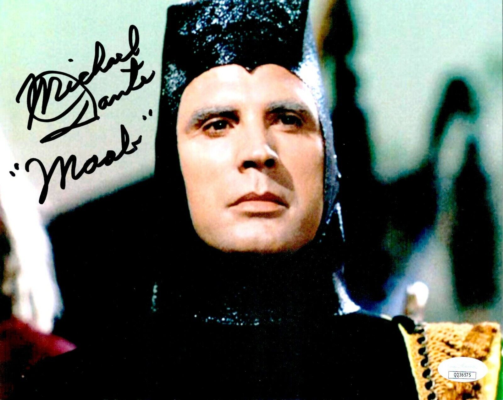 MICHAEL DANTE Signed 8x10 STAR TREK MAAB Photo Poster painting Autograph JSA COA Cert