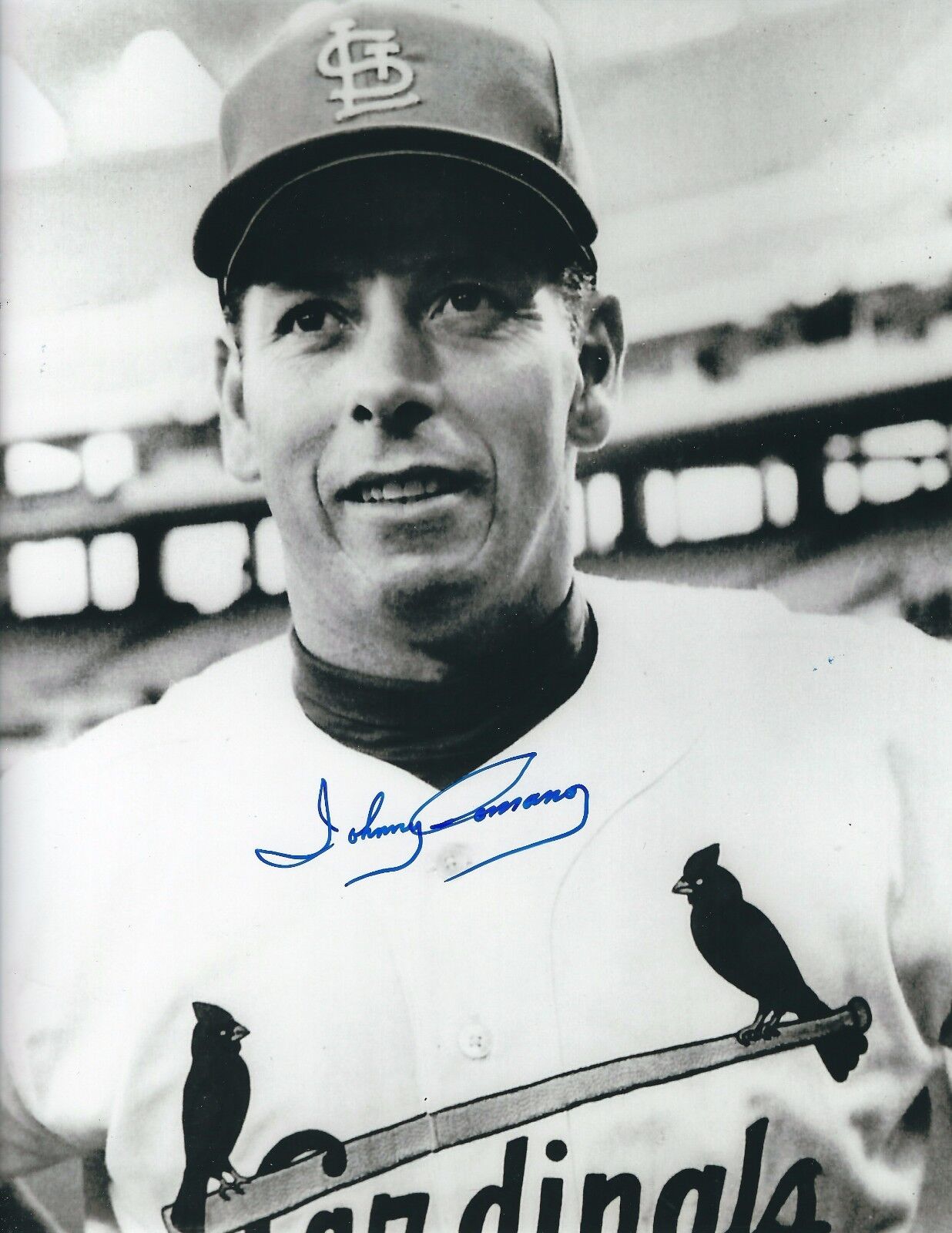 Signed 8x10 JOHNNY ROMANO St. Louis Cardinals Autographed Photo Poster painting - COA