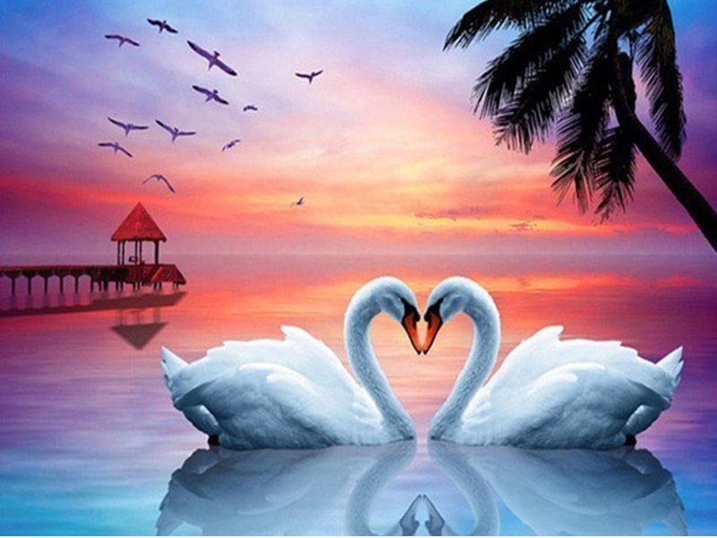 Diamond Painting - Full Round/Square Drill - Swan(30*40 - 50*60cm)