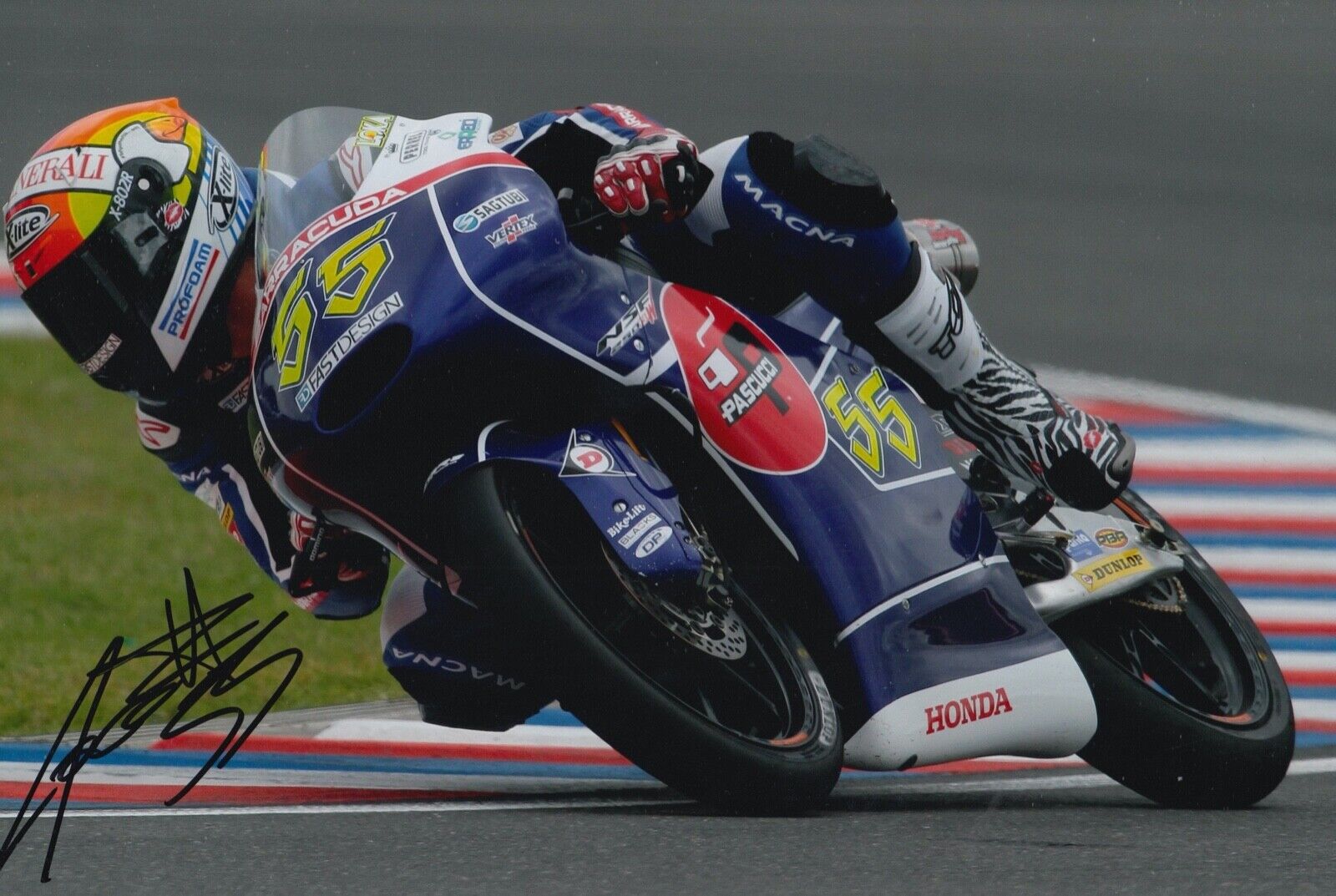 Andrea Locatelli Hand Signed 12x8 Photo Poster painting MotoGP Autograph Gresini Honda Moto3 4