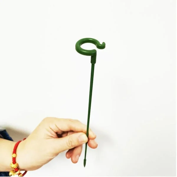 Single Plant Stem🌸For Flowers