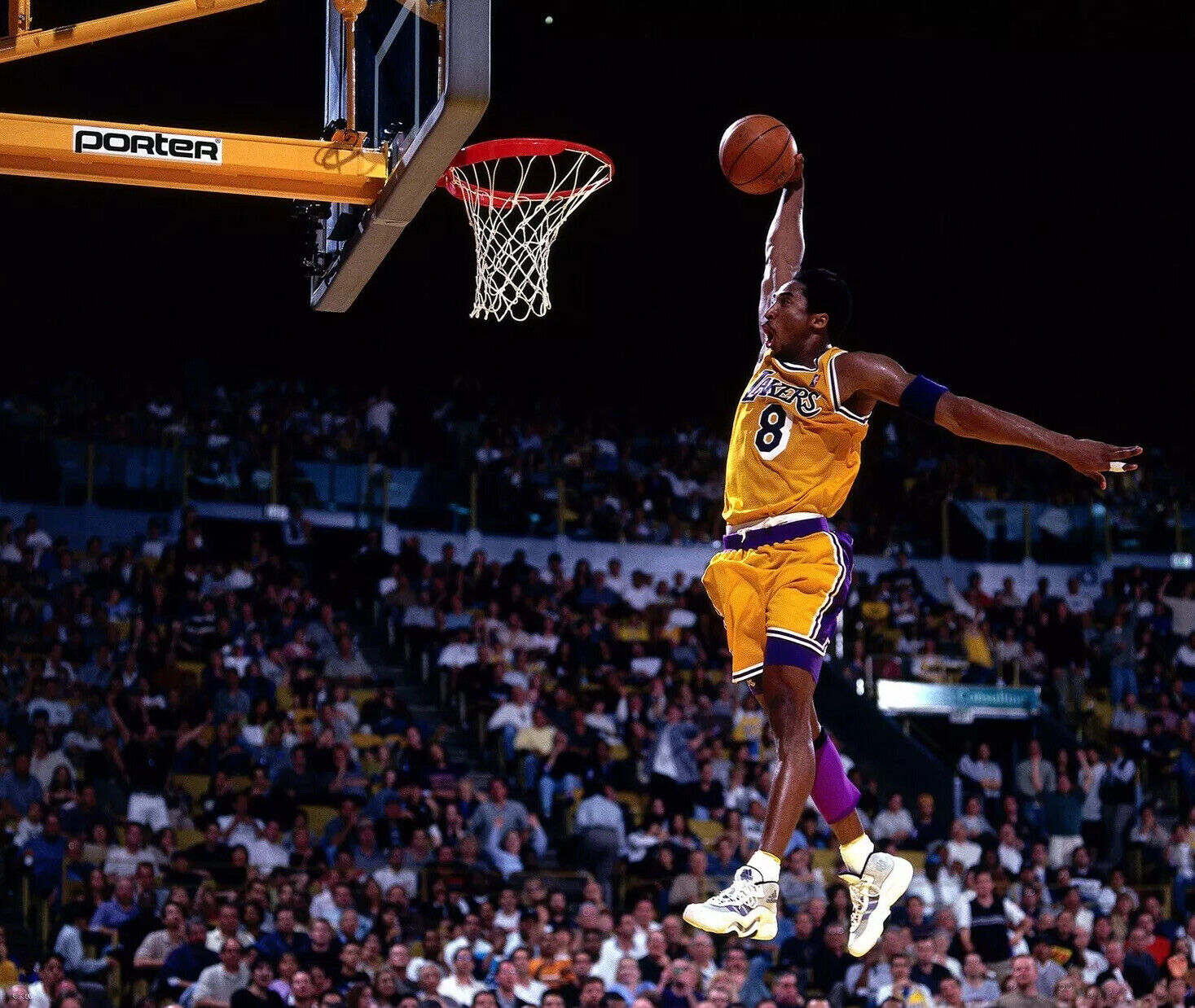 Kobe Bryant Poster 16x20 Los Angeles Lakers Photo Poster painting Mamba Dunking NBA 24 8