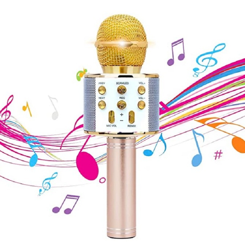 

Microfono Karaoke wireless Bluetooth Altoparlante portatile portatile Hom, 501 Original