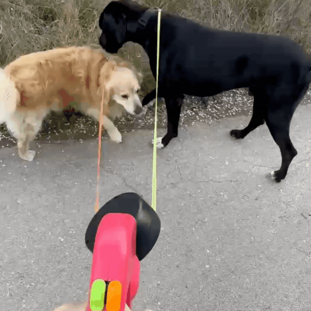 Duo Anti-Tangle Leash