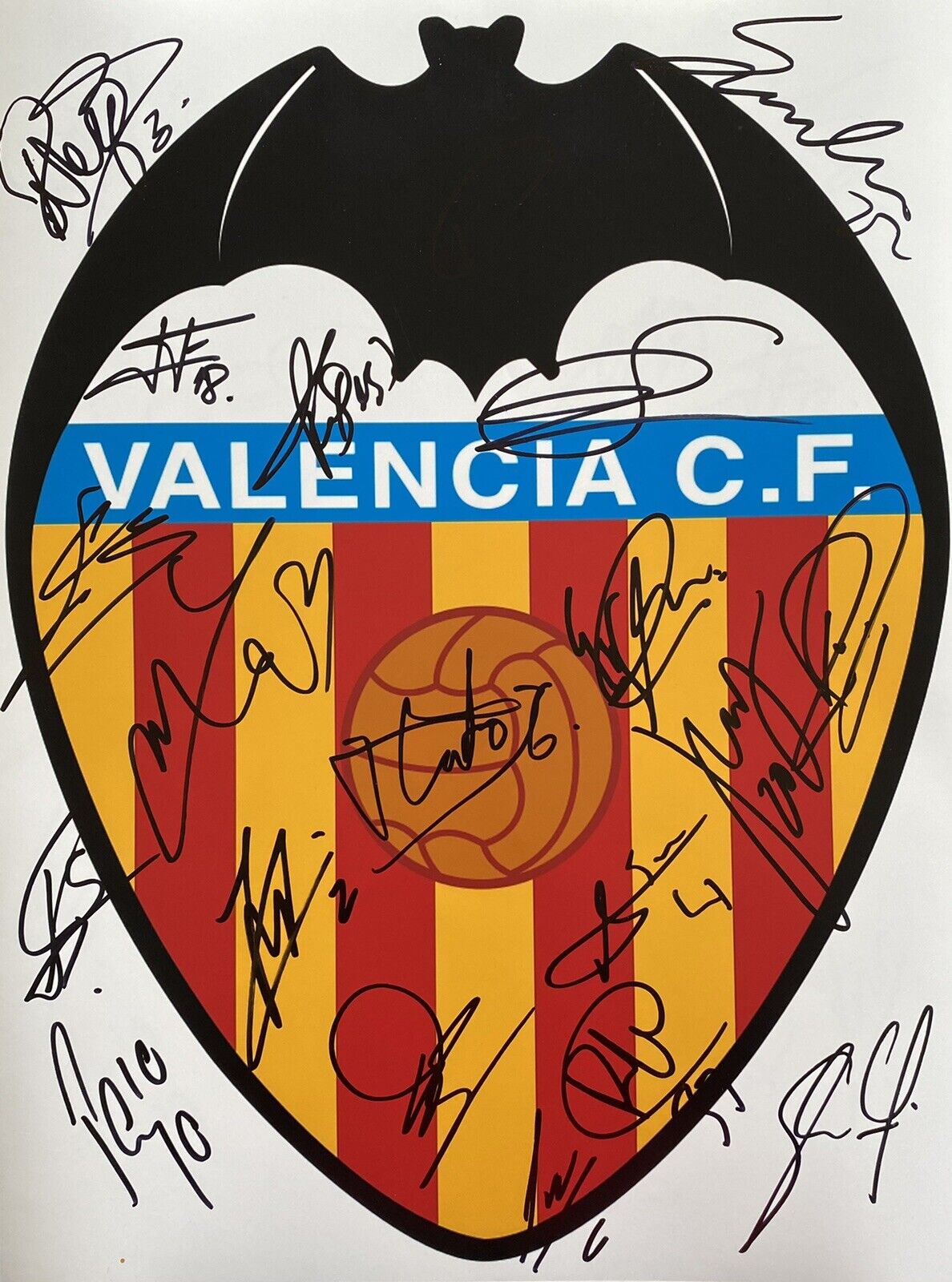 Valencia CF Genuine Hand Signed 16x12 Squad Photo Poster painting, Rodrigo, Parejo, View Proof